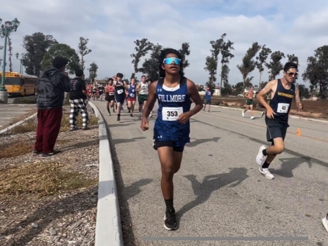 On Friday, September 22, 2023, the Fillmore Flashes Cross Country team competed at the Raider Invitational. Above is JV’s James Torres who placed 62nd with a time of 21:12.44; inset is Flashes JV’s Nicholas Cabrales who placed 21st with a time of 18:27.71 in the meet held at Oxnard College last Friday. Photo credit Kobe Lizarraga.