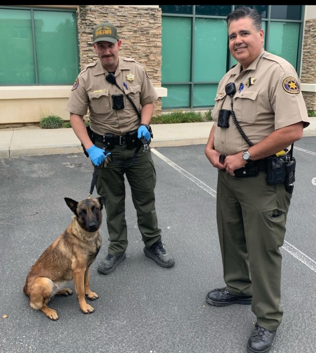 On June 4, 2023, Fillmore deputies conducted an investigation involving the theft of a truck and miscellaneous tools. The victim reported his dog was also in the truck when it was stolen.  After a lengthy investigation, deputies were able to locate the victim’s truck and reunite “Bella” with her owner.  