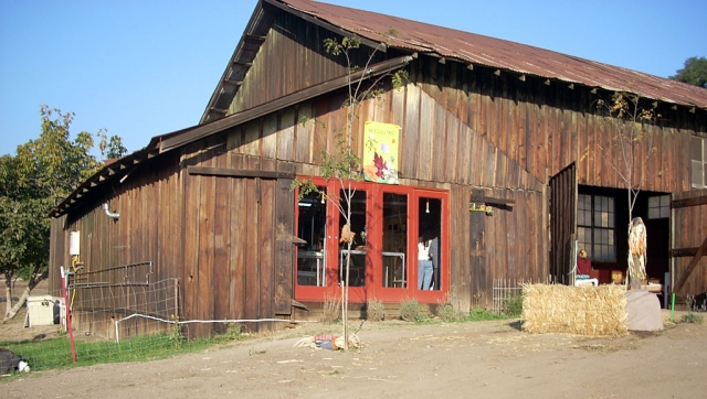 The operation recently moved from 30 acres in Fillmore to 124 acres in Wheeler Canyon.