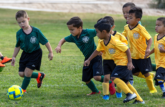 Above and below are action photos from the Fillmore AYSO 5U Boys game played Saturday, October 10. No scores are kept for this age group. Photo credit Crystal Gurrola.