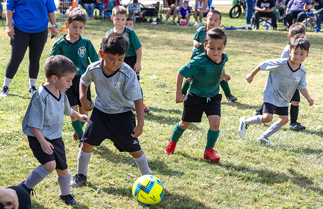 On Saturday, October 17, Fillmore AYSO’s 5U, 8U, 12U took to the soccer fields despite the high winds that day, leaving most teams unable to hang their banners. Pictured top left is from the Boys 5U game, no score is kept for this age group. Below is from the Boys 8U game, Grey team lost 4-1. Photo credit Crystal Gurrola.