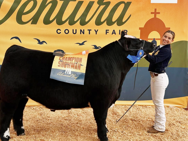 From July 30th – August 10th was the annual Ventura County Fair. Pictured are some of the Fillmore FFA winners from this year’s Livestock Show. All photos and info courtesy https://www.instagram.com/fillmore.ffa/. Pictured right is Another BACK-to-BACK! Way to go Annalise Barragan! FFA Advanced Steer Showman 2025! 