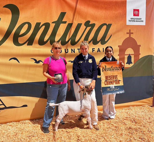 Way to go Kristina! Kristina Budia won Reserve FFA Market Goat! We are so proud of all our lamb and goat showman they did great in the market classes!