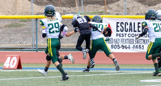 On Saturday, September 27th, Fillmore Raiders Youth Football held games at FHS Football stadium. Above is Fillmore Bantam Silver’s #21, leaping to make the tackle again Moorpark Musketeers. Inset, the Raiders Freshmen game against Valley Rush. Photo credit Crystal Gurrola. See additional Mighty Mites and Raider photos online at www.FillmoreGazette.com.