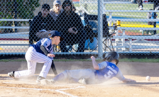 Spring has sprung and so have Fillmore sports. Pictured are photos from the Fillmore Little League Minor B Yankees vs. Dodgers game last Saturday, April 5th. Photo credit Crystal Gurrola