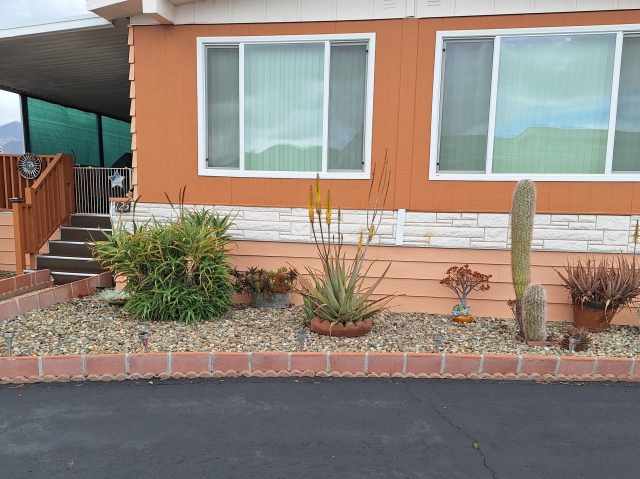 Fillmore Civic Pride volunteers awarded the 2024 April Yard of the Month to Jeannie and her beautiful garden on Serra Drive in Fillmore. As the winner she received a gift card from Fillmore’s Otto and Sons Nursery. Photo credit Chris Webb.