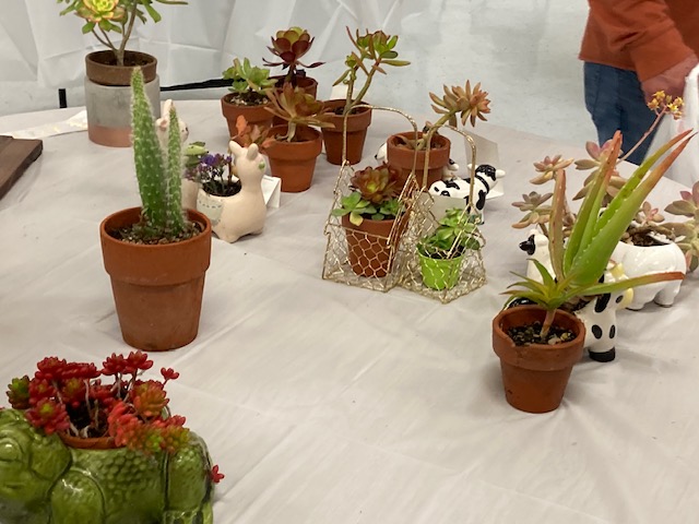 On April 6 & 7, 2024, the Active Adult Center will host the Annual Fillmore Flower Show; entry fee of $5 for each adult exhibitor, all youth entries are FREE. Photo credit Jan Lee.