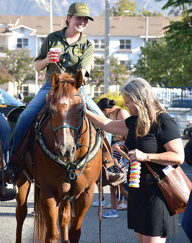 National Night Out brought out the best in Fillmore, with mounted unit horses, K-9 dogs and most of all our first responders interacting with the community they serve. The Mounted Enforcement Unit (MEU), established in 1978, is one of the premiere units of its kind in the state of California. All of the horses are privately owned and most of the members ride their own horses. Photo credit Angel Esquivel.