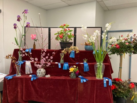 On April 6 & 7, 2024, the Civic Pride Committee will be hosting the annual Fillmore Flower Show, a fun yearly Fillmore tradition for all to enjoy. This year’s theme is “Flower Power”. Above are entries from last year’s Flower Show. Photo credit Jan Lee. 