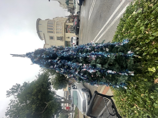 Downtown Central Avenue is full of the holiday spirit with Christmas trees decorating both sides of the street. The trees are donated for decoration by the public, including school children, local clubs and groups, churches, businesses and families, who all make a special tree their own. The Christmas Spirit is still alive and well in Fillmore - the last, best, small town in California! Photo credit Angel Esquivel-AE News. 