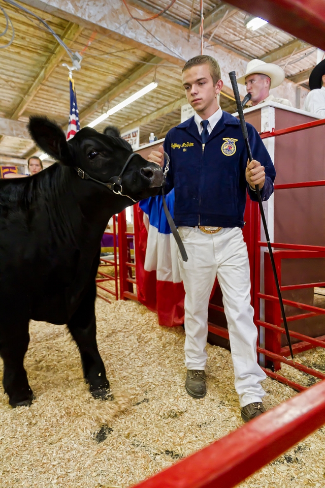 Jeffrey McGuire, 16, Fillmore FFA, raised a 1,345 lb. market steer that was awarded FFA Reserve Grand Champion.