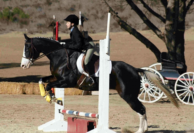 Lauren Shield takes fifth place in her first attempt in the beginner level.