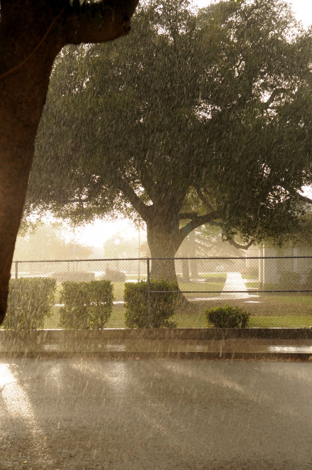 Last week’s brief downpour was a welcome relief to a dry area. With one of the longest dry-spells on record, we need more rain!