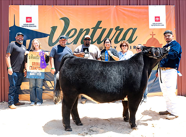 Congratulations to Fillmore FFA’s Joseph Rosas for winning Reserve Grand Champion Market Steer.