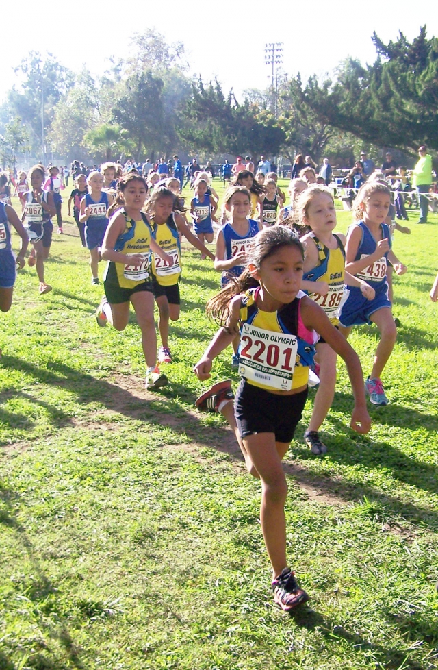 Niza Laureano (bib #2201) leads the pack at the 2014 USATF Southern California Association Junior Olympic Cross Country Championships in Arcadia, California.