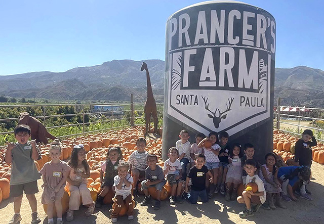 Piru TK and Kindergarten students had an amazing time visiting Prancer’s Farm! They enjoyed a wonderful hands-on learning experience filled with exploration, excitement, and lots of smiles. A special thank you to FFA and Prancer’s Farm for providing our little Condors with such a memorable experience. We are so grateful for our community partners who help bring learning to life! Posted October 2 at 8:41 pm, courtesy https://www.facebook.com/photo?fbid=1899628947676271&set=pcb.1899629074342925.
