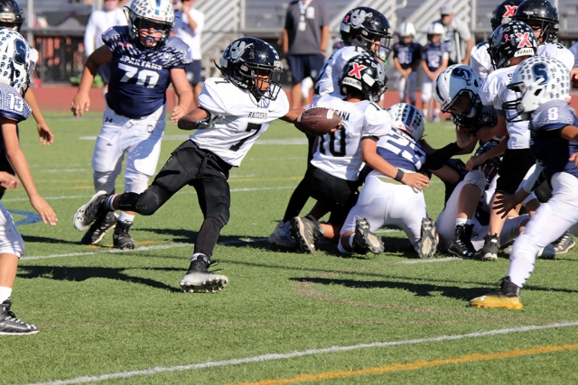 Fillmore Raiders Mighty Might Black #7 runs the ball up the filed in Saturdays game against Saugus Navy. Raiders beat Saugus 24-12, and will play the SC Wildcats November 11th 8am at Royal High School. Photos courtesy Crystal Gurrola.
