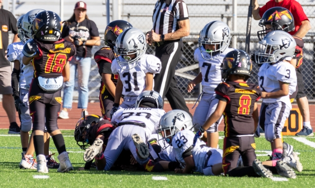 Raiders Mighty Mites Silver fought hard this past Saturday against Santa Clarita but fell short with a final score 50 – 42. Above Fillmore dogpiles on a Warrior player to stop him from advancing. Photo credit Crystal Gurrola. 