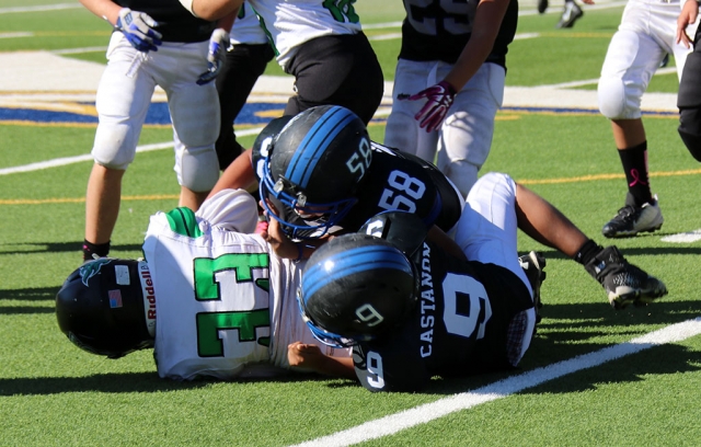 Socal Bears Bantams compete against Thousand Oaks. No final score reported as of 11/07/18. Photos courtesy Crystal Gurrola.
