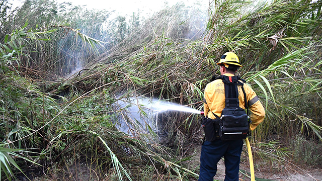 On Saturday, August 8, at approximately 7:21 p.m., Fillmore City Fire, Ventura County Fire, and the Fillmore Police Department were dispatched to a reported fire in the Santa Clara River near the A Street bridge. Arriving firefighters located a 50x50 foot vegetation fire burning in Arundo. Crews quickly contained and extinguished the fire. The cause of the fire is under investigation. Photo credit Angel Esquivel.