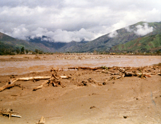 Sespe River near corner of Sespe and D Street. Before the levee, this is what it looked like.