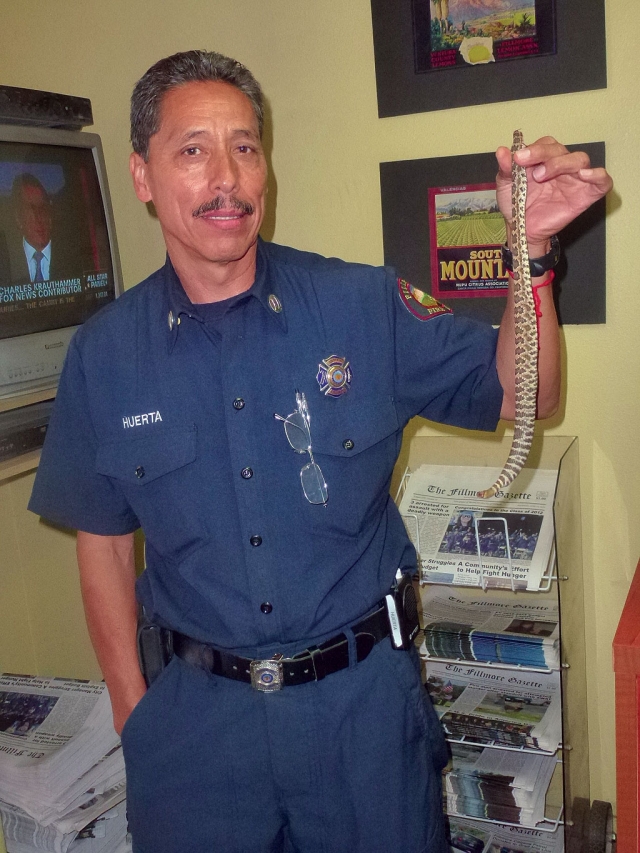 Captain Al Huerta brought a 3-year old Rattlesnake into the Gazette on Monday. The snake was found by a gardener off of Goodenough Road. This is a good reminder to be careful when you are doing yardwork.