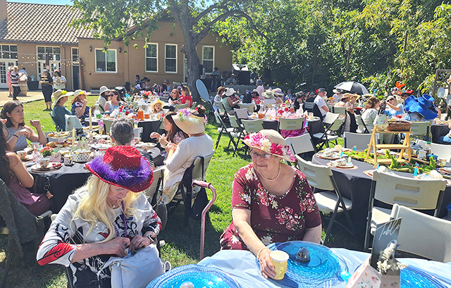On Saturday, May 2nd, Soroptimist International of Fillmore hosted their first ever Annual Mad Tea Party for all to come out and enjoy. They enjoyed live music by the Wade Brothers, raised over $4,000 toward their Live Your Dreams scholarships and our local Fillmore High School Student Scholarships! Over 100+ were in attendance, the support was overwhelming and we treasure our friends and neighbors for coming out to have a fun day with us! Photo credit Soroptimist International of Fillmore Members.