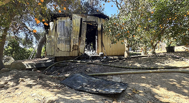 On Friday, August 21, at 9:16 a.m., the Ventura County Fire Department and Ventura County Sheriff’s Office responded to a reported structure fire in the 1500 block of Oak Avenue, northwest of the city of Fillmore. Arriving firefighters located a structure fully involved in flames, with avocado orchards nearby. Due to the remote location, a water tender was utilized to support firefighting operations. Firefighters were able to knock down the fire at approximately 9:44 a.m. The structure sustained significant damage, and no injuries were reported. The cause of the fire is under investigation. Photo courtesy VCFD-PIO.