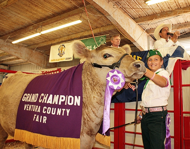 Macie Wokal with Grand Champion Replacement Heifer “Juliette”.