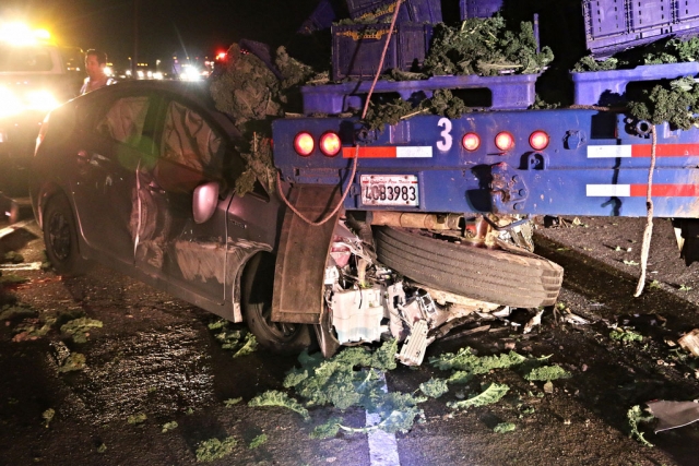 On Monday, January 5th, the California Highway Patrol and Ventura County Fire responded to a traffic accident
involving a double trailer big-rig carrying kale, and a Toyota Prius. At approximately 6:50pm the truck was coming out of a private driveway and the Toyota struck the first trailer tire. the driver of Toyota was transported by helicopter to an area hospital with moderate to major injuries. Highway 126 at Center Street was shut down for about an hour while the debris from the truck and the blockage was cleared. Photos courtesy Sebastian Ramirez.