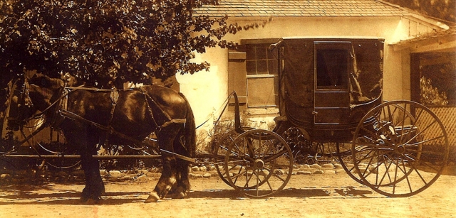 No one can compete with this beauty from Camulos Ranch. She would trek up and down Central Ave in the mid 1800's. Come out and see her this Friday at 