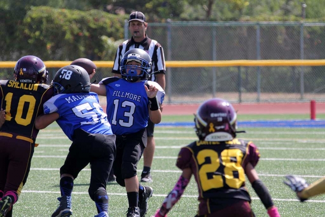 The SoCal Fillmore Bears Football hosted games this past Saturday in Fillmore. Final Scores from Saturday, September 30th: SoCal Fillmore Bears Gremlins vs West Valley Rebels, 34-14 (Bears) SoCal Fillmore Bears Pee Wees vs Highland Bulldogs, 18-14 (Bulldogs); SoCal Fillmore Bears Bantams vs Santa Clarita Chiefs, 34-6 (Chiefs); SoCal Fillmore Bears Midgets vs Burbank Vikings Green, 22-20 (Bears); SoCal Fillmore Bears Juniors vs Eastside Lions, 27-8 (Bears). All photos courtesy Crystal Gurrola.