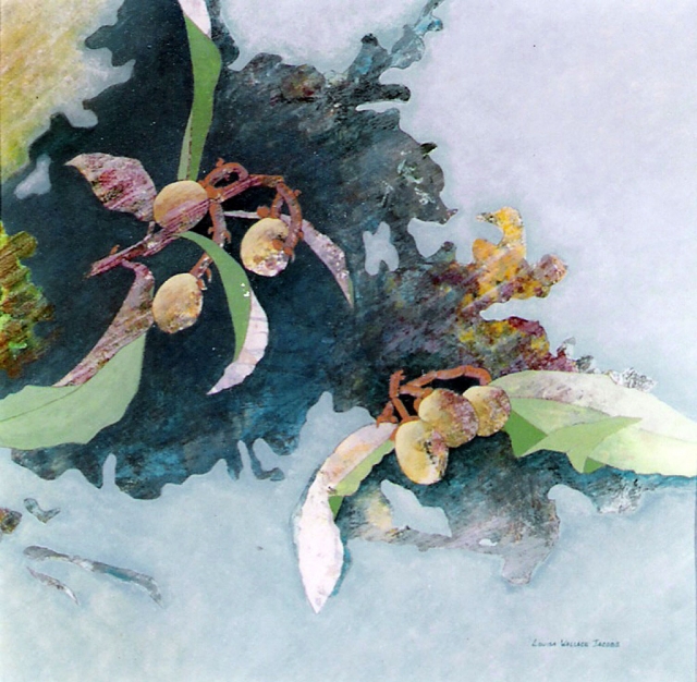 Best of Show 2009 “Loquat Filament Quadrangle” watercolor by Louisa Wallace Jacobs.