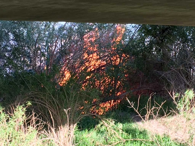 A brush fire erupted in the Santa Clara River-bottom on Sunday, April 3rd at 6:00pm. The bamboo-like vegetation exploded with the flames, causing loud pops. Fillmore Fire kept the fire from spreading to nearby housing. The cause of the fire is unknown. Pictured, under the bridge.