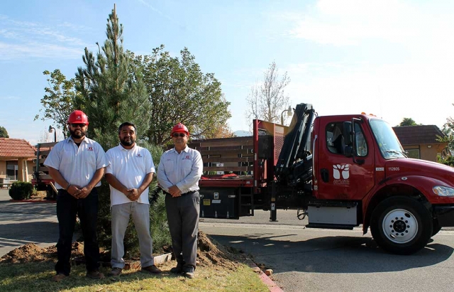 Valley Crest donates tree for Christmas. Valley Crest Tree Company in Fillmore donated a Christmas tree for Greenfield Care Center. Greenfield is a 99-bed Skilled Nursing Facility in Fillmore and every year they celebrate a Tree Lighting Ceremony for the community. This year Valley Crest donated the tree in order to help and support this community event.