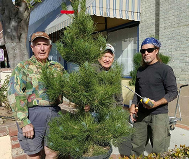 Fillmore Lions Club President Bill Dewey, and members Scott Lee and Paul Benavidez installed the Christmas trees along Central Avenue. Photo courtesy Sebastian Ramirez.