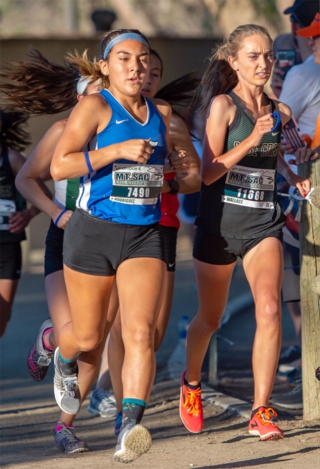 Senior Carissa Rodriguez placed 14th with a time of 19:08 in the Mt. San Antonio College Course this past weekend. Photos courtesy Coach Kim Tafoya.