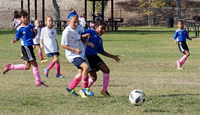 Photos courtesy Nancy Magana.Oxnard County Soccer League – Saturday, October 13: 
Boys 2010
Score: CU 2-1 Pumas CU Blue
Goals: Nathan Lepe 1, and Noah Valenzuela 1
Assist: Nathan Lepe
Overall Record: 3-2-0

Boys 2008
Score: CU 4-2 Juventus
Goals: Hector Hernandez 1, Julio Ballestero 1, Abe de la Cruz 1 and Jesus Canchola 1
Overall Record: 6-0-0

Girls 2006 Bonze Alpha
Score: CU 4-0 Coastal Valley Lady Outlaws
Goals: Fatima Alvarado 1, Marlene Gonzalez 1, Jessica Rodriguez 1, and Jadon Rodriguez 1
Assist: Marlene Gonzalez, and Jadon Rodriguez
Shutout: Gabriela Martinez

Girls 2001 Bronze North
Score: CU 6-3 Palmdale Thunder 
Goals: Jennifer Cruz 3, Aaliyah Lopez, Anahi Andrade 1, and Aliya Baez 1

Boys 2001 Silver Alpha
Score: CU 4-0 Oxnard Wave SC Gold 
Goals: Sergio Ramos 1, Julio Suarez 1, Eric Torres 1, and Eduardo Magaña 1
Assist: Rolando Cabrera 1, Luis Sosa 1, and Adrian Perez 1 

Boys 2005 Bronze Alpha
Score: 9-2 Coastal Valley Outlaws B05 
Goals: Alex Lanza 2, Arnulfo “Chino” Zepeda 3 (Hat Trick), Joel Virgen 1, Alonso Murillo 2, 
and Juan Garza 1
Assist: Arnulfo “Chino” Zepeda 3, Diego Alcaraz 3, Danny Melendez 1, Alex Lanza 1, Joel Virgen 1

*** 
Sunday, October 14:
Girls 2008 Bronze Beta
Score: CU 4 – 1 Eagles Black
Goals: Lizbeth Mendez 3 (Hat Trick) and Sara Diaz 1
Assist: Sara Diaz
Overall Record: 3-4-2

Girls 2006 Bonze Alpha
Score: CU 6 - 1 CC Dynasty FC G06
Goals: Victoria Piña 2, Jessica Rodriguez 1, Marlene Gonzalez 1, Fatima Alvarado 2
Assist: Marlene Gonzalez, Alexis Piña
Overall Record: 9-0-0

Boys 2005 Bronze Alpha
Score: CU 4-1 Coastal Valley Outlaws B05 Coastal Valley Knights
Goals: Diego Alcaraz 1, Arnulfo “Chino” Zepeda 2, and Alonso Murillo 1
Assist: Diego Alcaraz 1, Lisandro Orozco 1, Antonio de la Cruz 1
Overall Record: 8-1-0

Girls 2001 Bronze North
Score: CU 6-1 Futbol Foundation
Goals: Jennifer Cruz 3 (Hat Trick), Ari Ocegueda 2, and Aaliyah Lopez 1
Overall Record: 5-2-3

Boys 2001 Silver Alpha
Score: CU 4-1 Santa Barbara SC White 
Goals: Alex Ortiz 1, Yobany Figueroa 1, Rolando Cabrera 1, Adrian Perez 1
Assist: Rolando Cabrera 1, Luis Sosa 1, and Adrian Perez 1 
Overall Record: 8-1-1