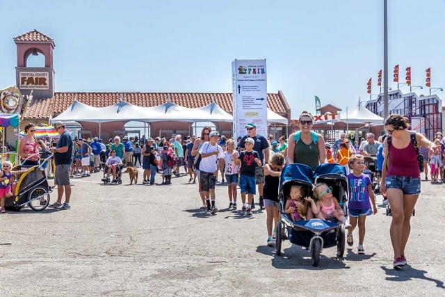 All fair photos by Bob Crum.