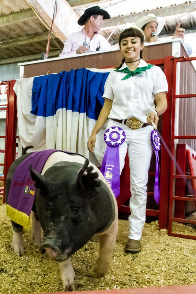 Jazmin Olvera, 17, Sespe 4-H, raised Romona, a 264 pound pig that was awarded the coveted Grand Champion Market Swine/4-H Champion.