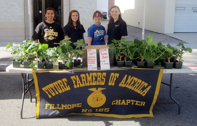 FFA members manning their basil table, above and below, at the Fillmore Farmer’s Market.