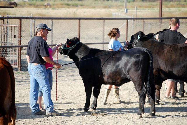 FFA showmanship practice shows Joe Ricards and students.