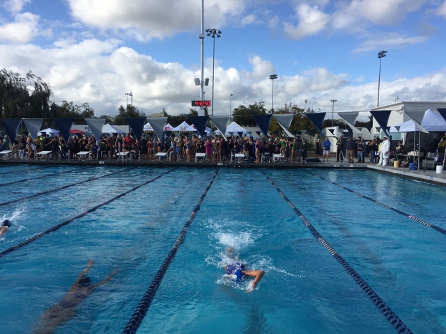 Last week the FHS Swim Team competed at the Ventura County High Swim Championship. Pictured are some Flashes in the midst of their race while their teammates cheer them on. Photo courtesy Katrionna Furness.