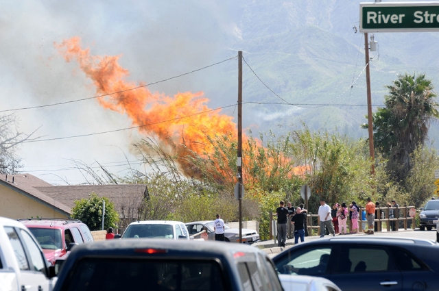 Approximately three acres were charred on Friday, March 21st, in the Santa Clara River bottom, north/east of the Grimes Canyon bridge. The 1:35p.m. blaze shot flames 90 feet into the air and drew a large crowd of onlookers. Fillmore Fire, along with County and Santa Paula, quickly knocked down the flames. Bamboo (Arundo) could be heard exploding, before the fire was contained. At least one powerline was damaged.