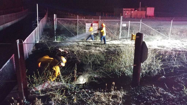 On June 28th, at approximately 9 p.m. Fillmore Fire responded to the report of a grass fire behind the Valero Gas Station, near one of the fireworks stands. Upon arrival, they found a small spot fire approximately 20 x 20-feet burning. The crews were able to extinguish the fire in approximately 15 minutes. Photo courtesy Fillmore Fire Department. 