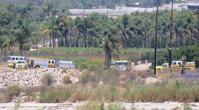 Sunday afternoon at 12:51p.m., firefighters responded to a reported brush fire near the intersection of Torrey and Howe Roads. When crews arrived nearly an acre of land had caught fire. Fire crews were able to knock it down and no structures were damaged. The cause of the fire is under investigation.