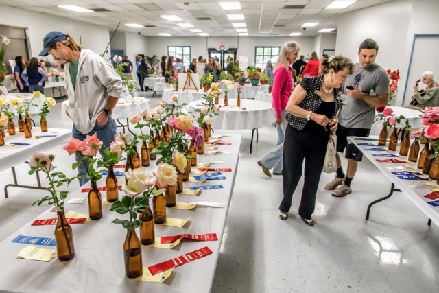 Last year’s Fillmore Flower Show theme was “Isn’t the community of Fillmore special?” and had 339 entries across nine divisions.