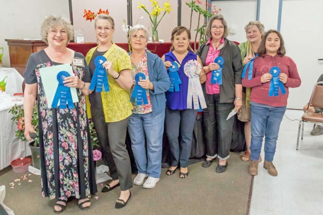 Pictured are the winners of last year’s Fillmore Flower Show: Joanne King (Division I: Cut Rose: “Fourth of July”), Jan Lee (Division VI: Miniature Arrangements and Bouquets), Carmen Zemeno (Division III: Other Cut Flower: “Red Amaryllis”), Bene Ambrosio (Best in Show: “Crown of Thorns” (potted plant) & Division IV Bouquets: “White Watsonia”), Linda Nunes (Division V: Arrangements), Regina Stehly (Division II: Cut Iris: “Yellow Spuria”), Mary Nunez (Division X: Youth Composition: Mary Nunez ). Not Pictured are Susan Hopkins (Division VIII: Dish Gardens), and Kimberly Lizarraga (DivisionXI: Youth Art: “Watercolor Rose”). Photos courtesy Bob Crum.