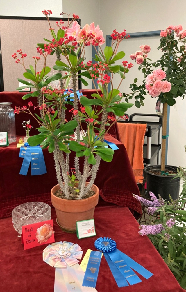 Don’t forget about the Fillmore Flower Show, April 15 & 16, 2023. Above is an entry from last year’s show. Photo courtesy Jan Lee.