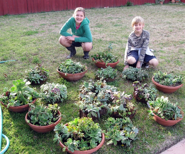 Lauren and Jared Fairall, members of Cindy Klittich’s 4H & Scout garden club, enjoying the array of succulent wreaths & potted plants.